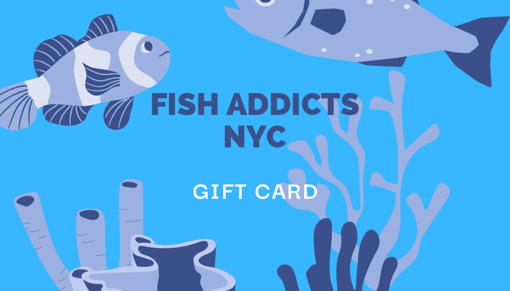 FISH ADDICTS NYC GIFT CARD
