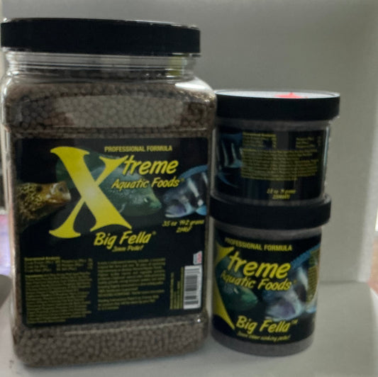 Xtreme Foods -Big Fella